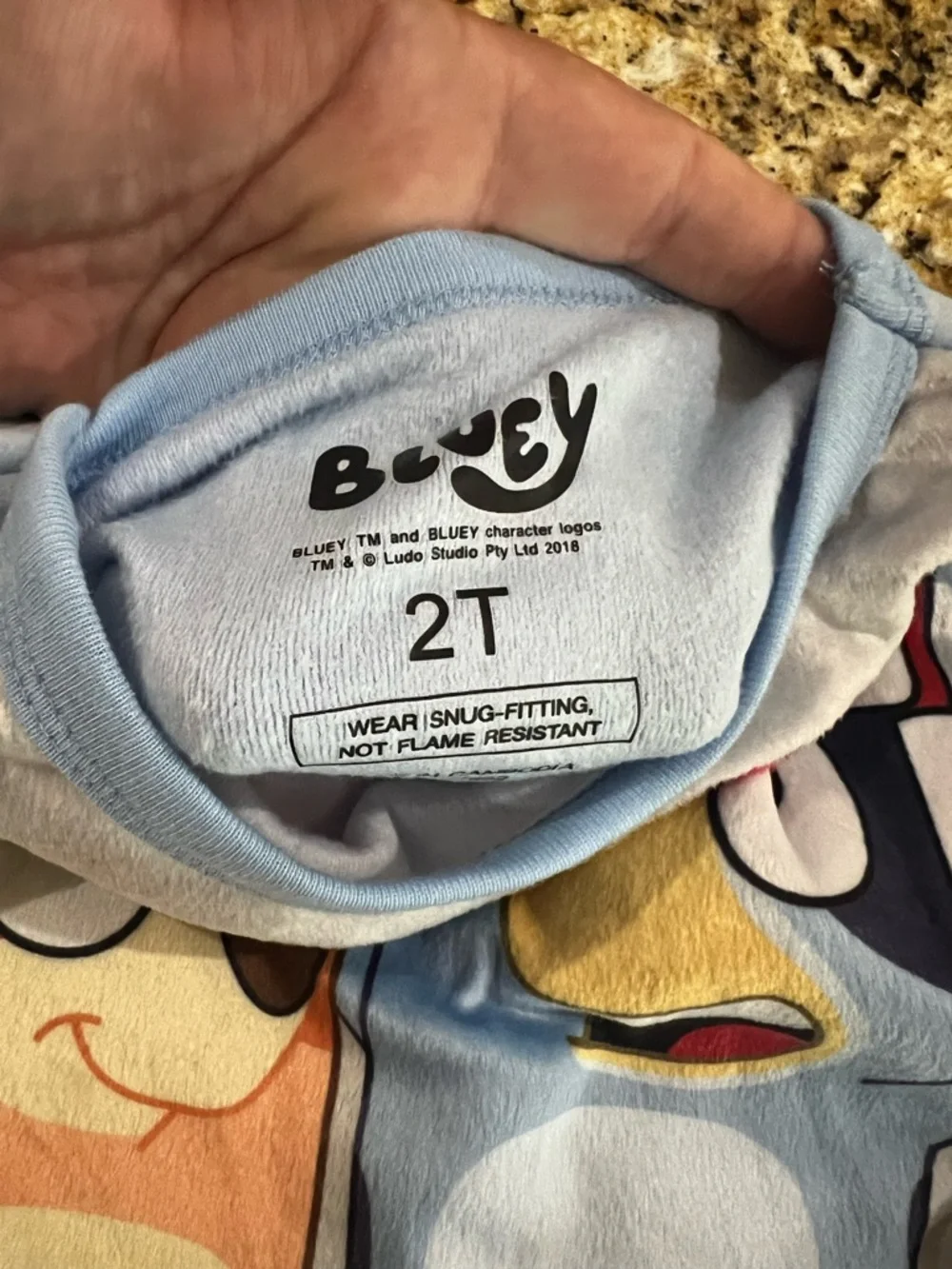 New - Bluey Christmas Pajama Set | Size 2T | Merry Everything! | Nordstrom